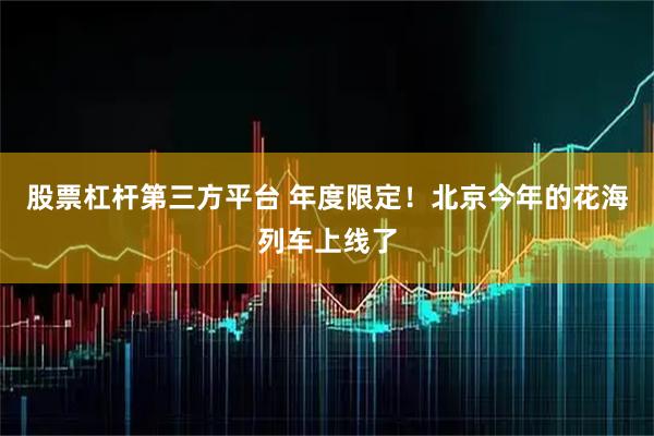 股票杠杆第三方平台 年度限定！北京今年的花海列车上线了